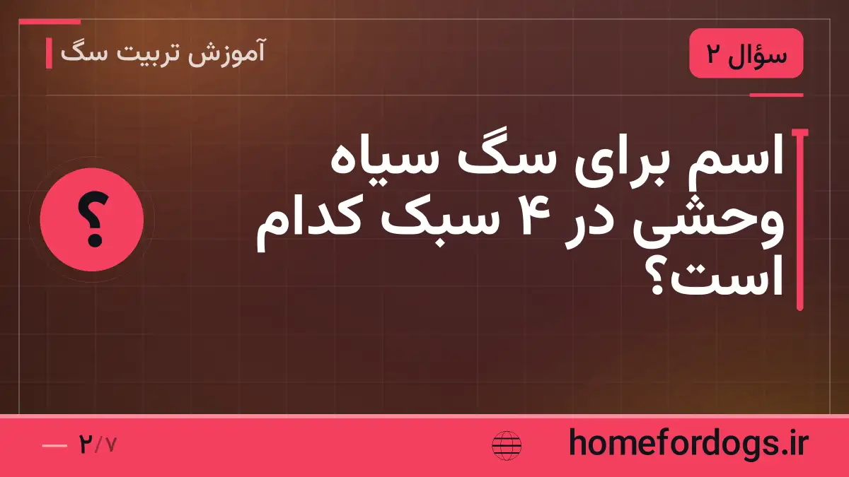 اسم برای سگ سیاه وحشی در ۴ سبک کدام است؟