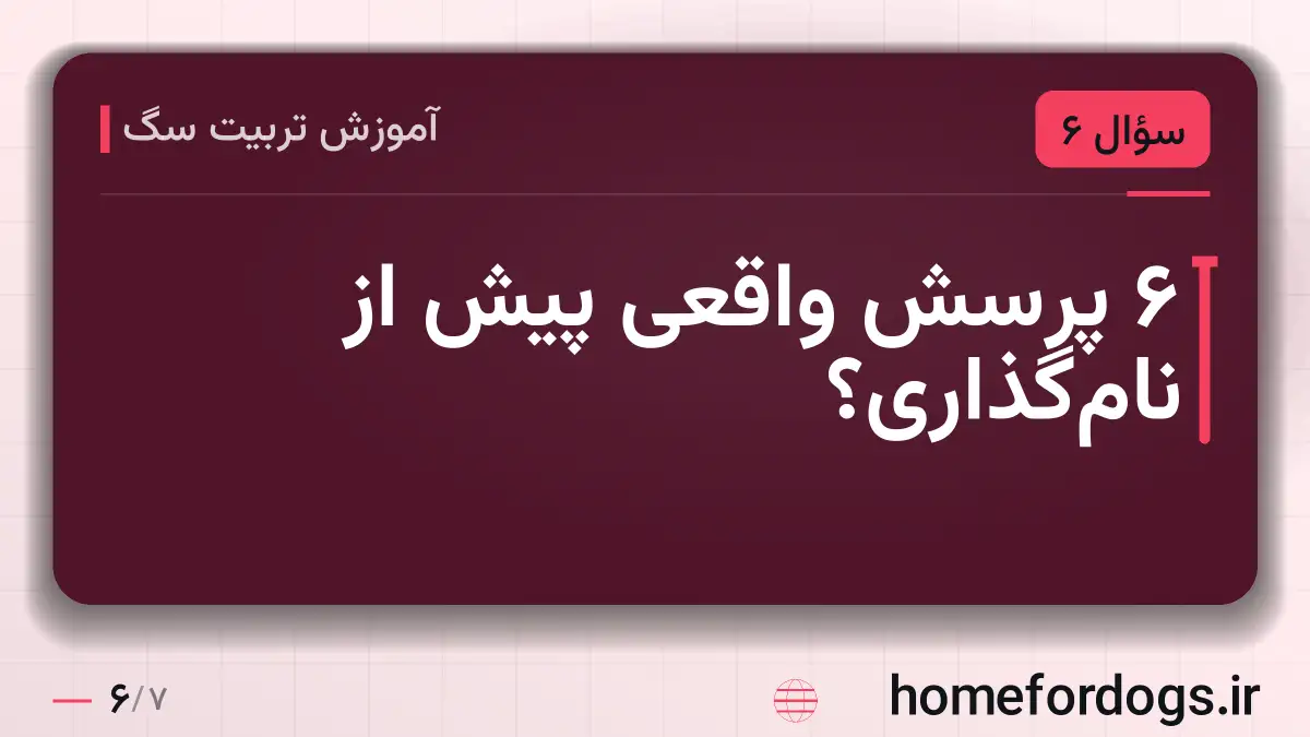 ۶ پرسش واقعی پیش از نام‌گذاری؟