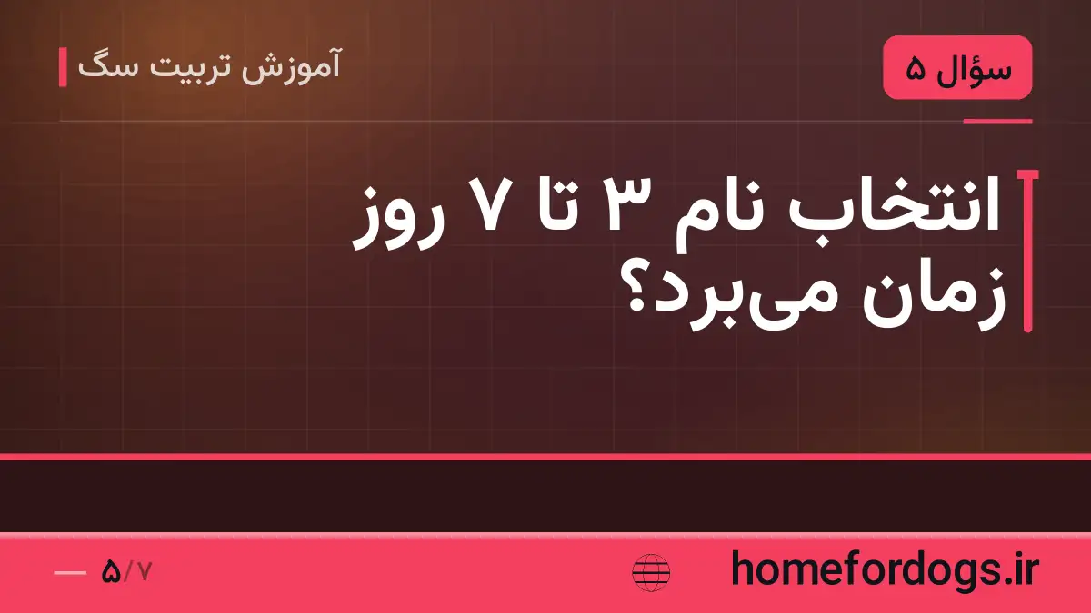 انتخاب نام ۳ تا ۷ روز زمان می‌برد؟
