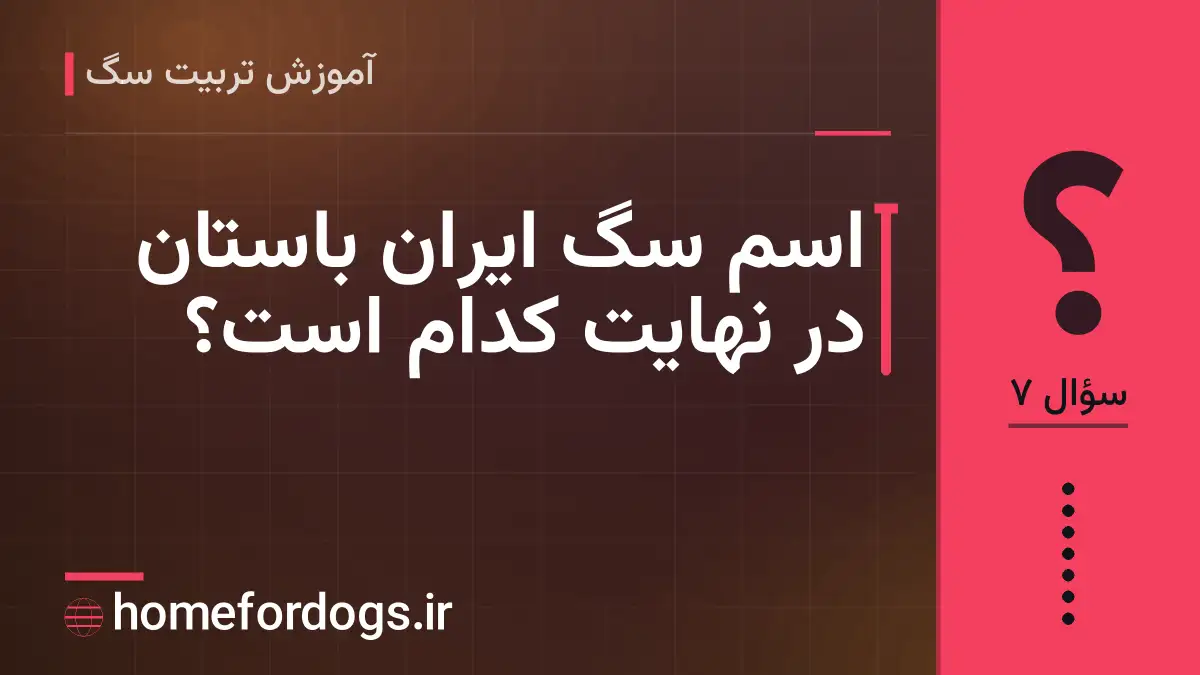 اسم سگ ایران باستان در نهایت کدام است؟