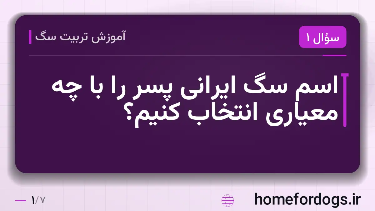اسم سگ ایرانی پسر را با چه معیاری انتخاب کنیم؟