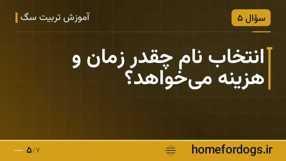 انتخاب نام چقدر زمان و هزینه می‌خواهد؟