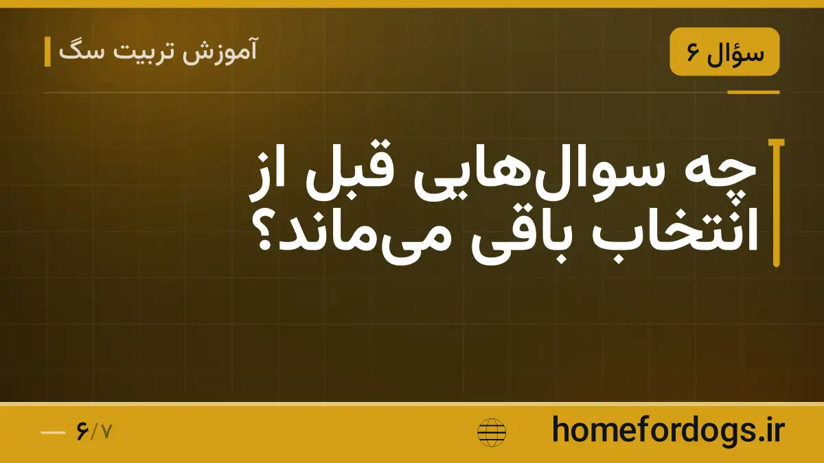 چه سوال‌هایی قبل از انتخاب باقی می‌ماند؟