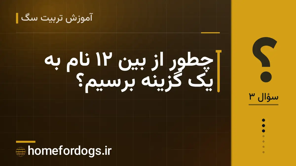 چطور از بین ۱۲ نام به یک گزینه برسیم؟