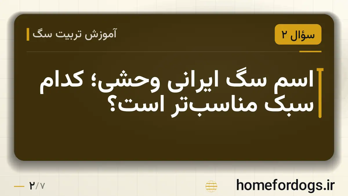 اسم سگ ایرانی وحشی؛ کدام سبک مناسب‌تر است؟