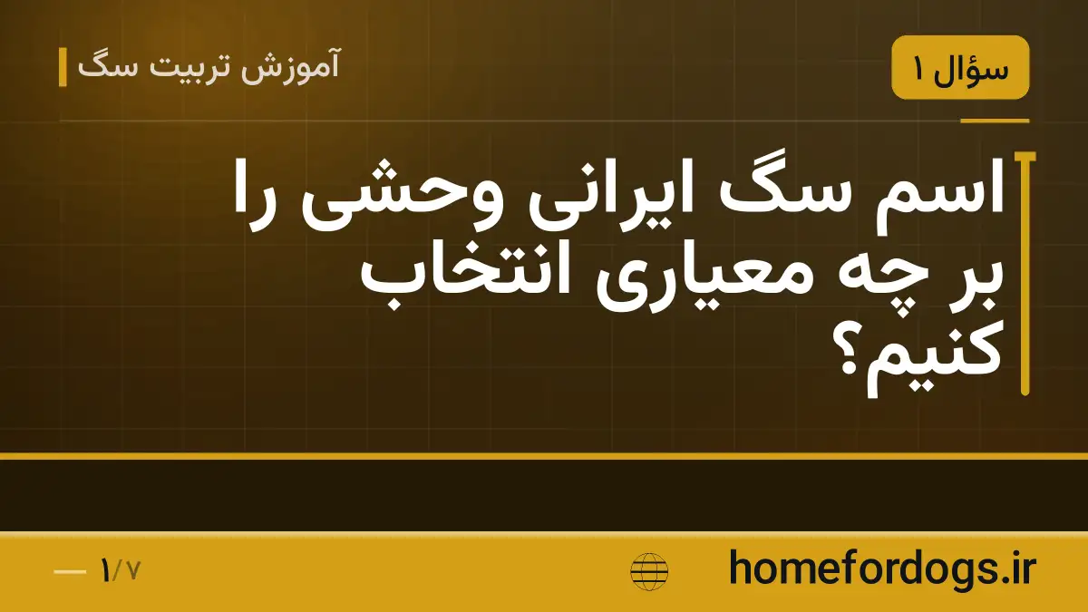 اسم سگ ایرانی وحشی را بر چه معیاری انتخاب کنیم؟