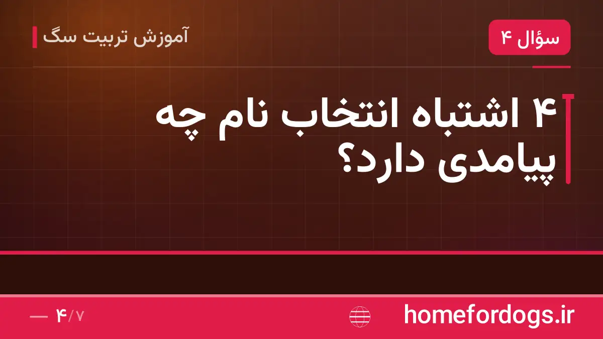 ۴ اشتباه انتخاب نام چه پیامدی دارد؟