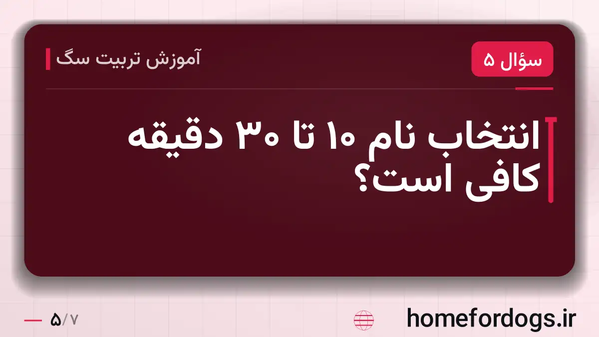 انتخاب نام ۱۰ تا ۳۰ دقیقه کافی است؟