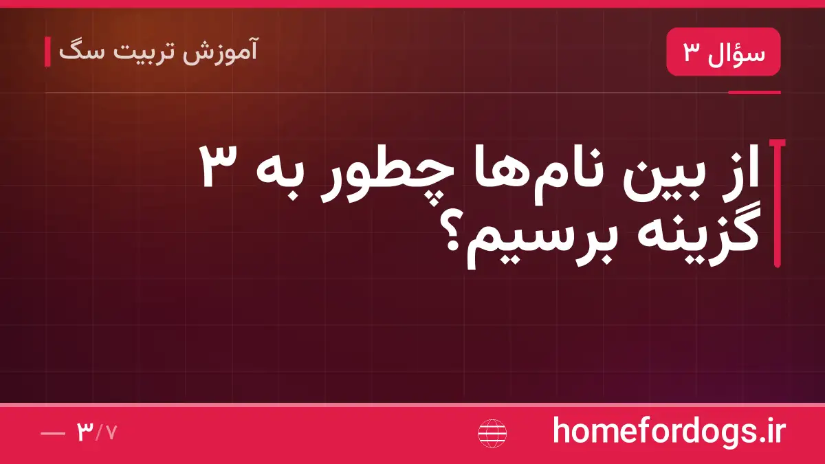 از بین نامها چطور به ۳ گزینه برسیم؟