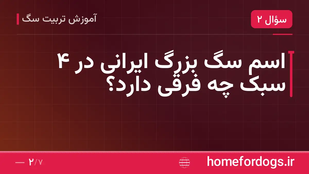 اسم سگ بزرگ ایرانی در ۴ سبک چه فرقی دارد؟