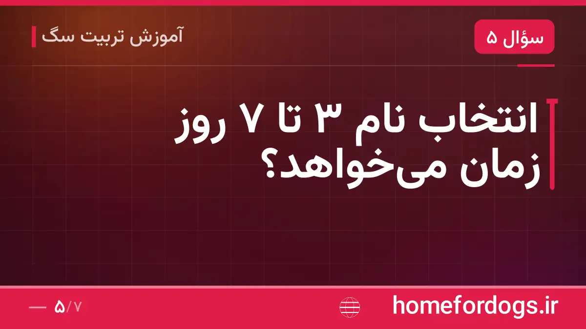 انتخاب نام ۳ تا ۷ روز زمان میخواهد؟