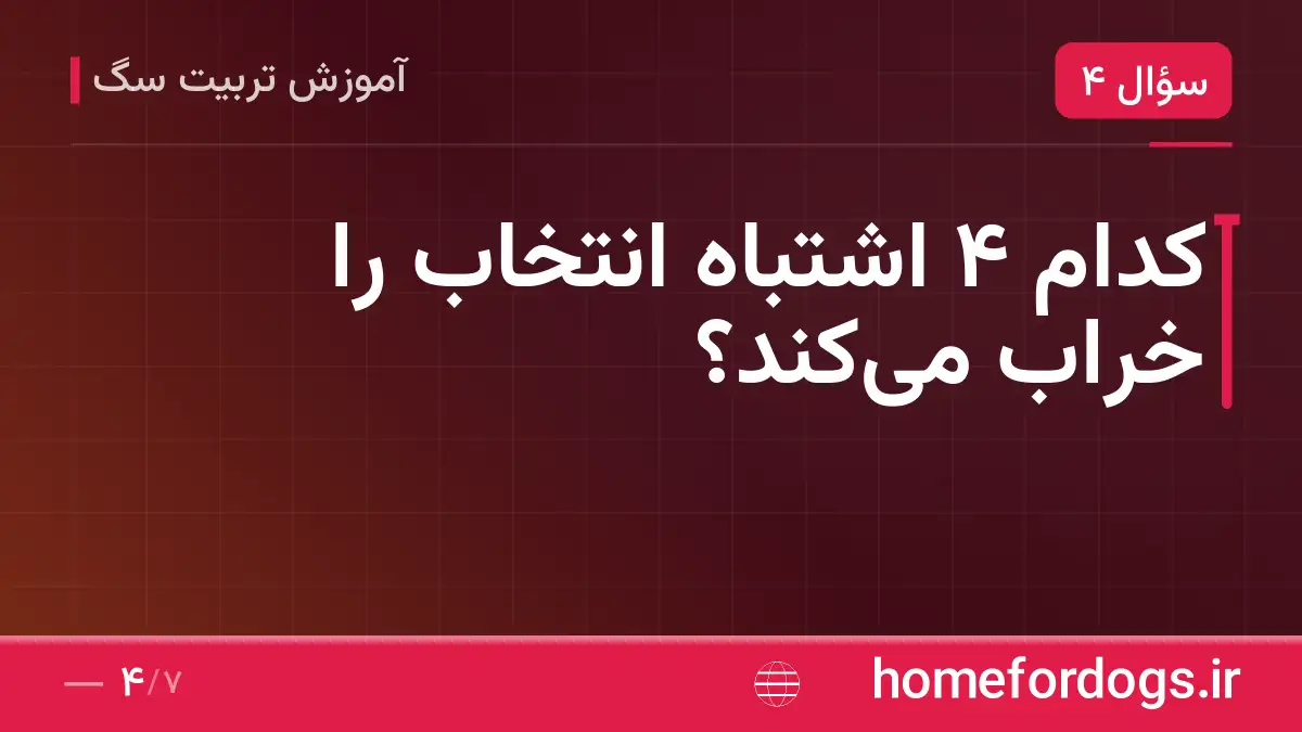 کدام ۴ اشتباه انتخاب را خراب میکند؟