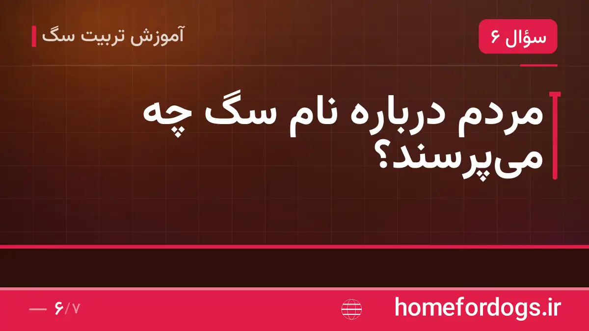مردم درباره نام سگ چه میپرسند؟