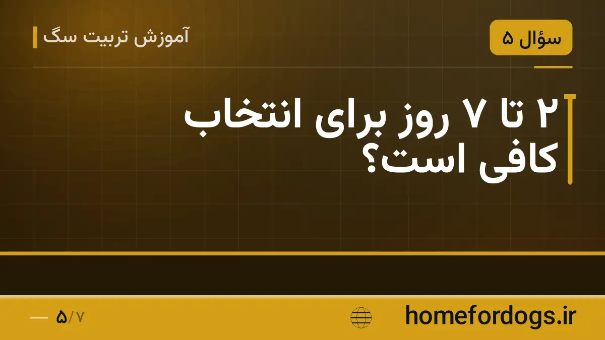۲ تا ۷ روز برای انتخاب کافی است؟