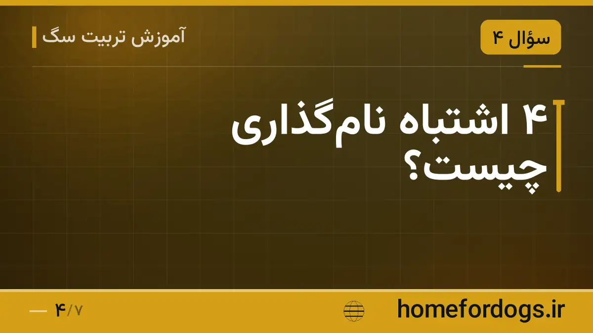 ۴ اشتباه نام‌گذاری چیست؟
