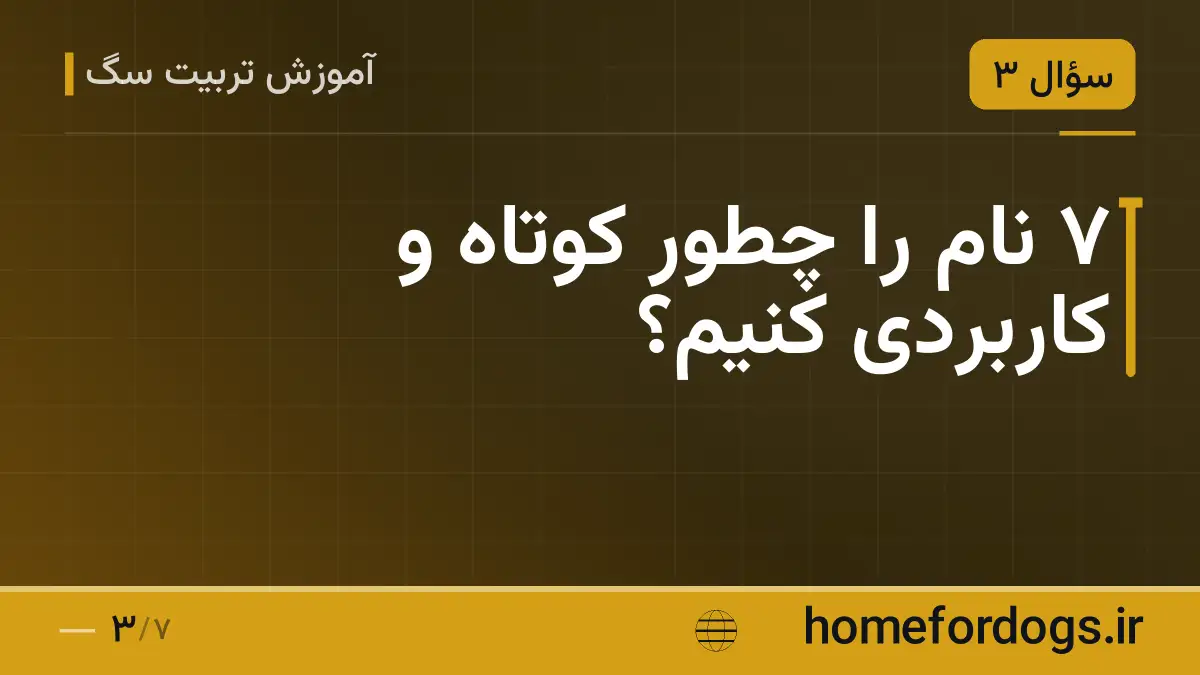 ۷ نام را چطور کوتاه و کاربردی کنیم؟