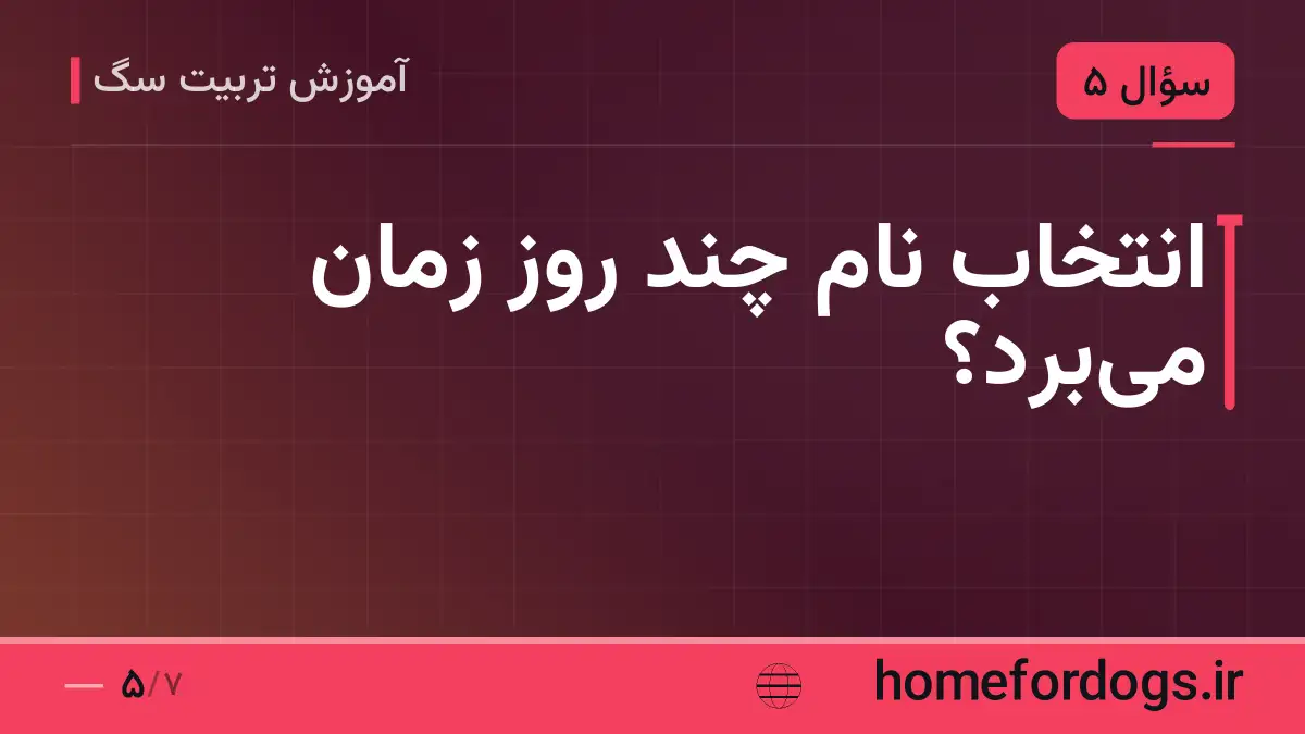 انتخاب نام چند روز زمان می‌برد؟