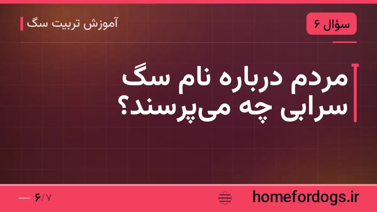 مردم درباره نام سگ سرابی چه می‌پرسند؟