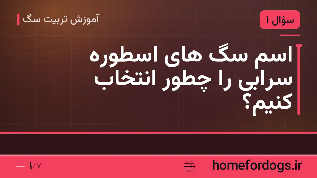 اسم سگ های اسطوره سرابی را چطور انتخاب کنیم؟