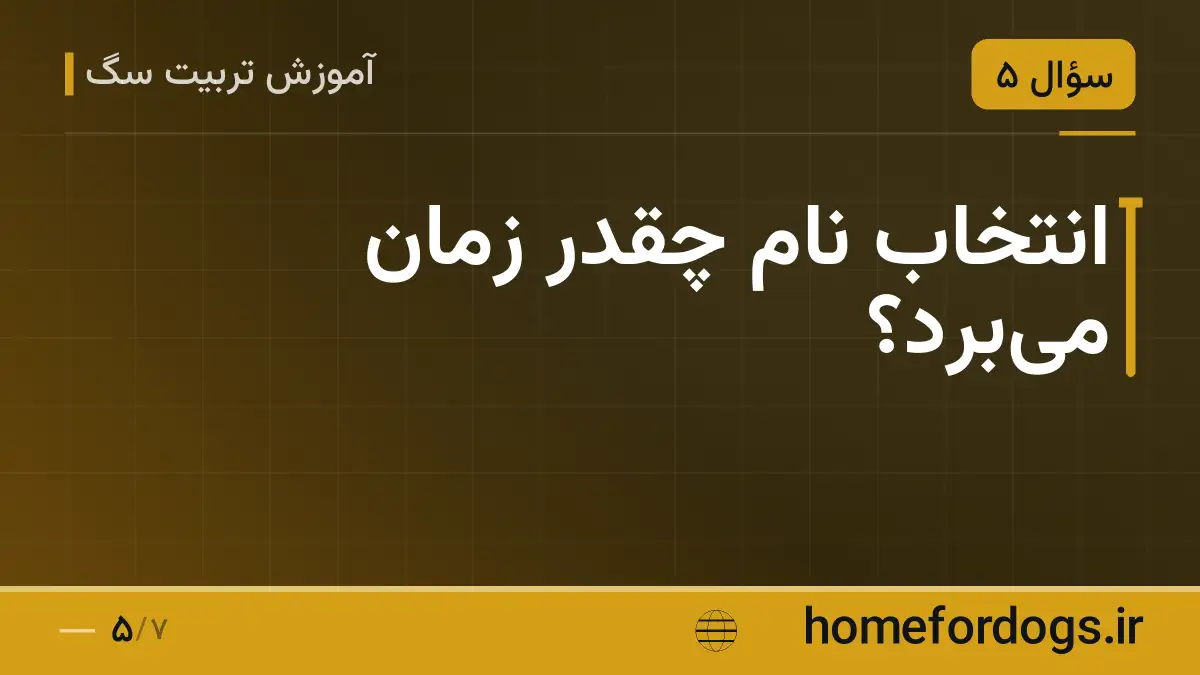 انتخاب نام چقدر زمان می‌برد؟