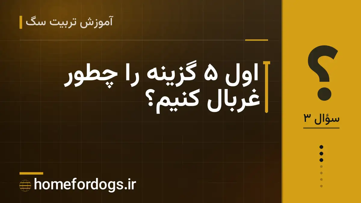 اول ۵ گزینه را چطور غربال کنیم؟