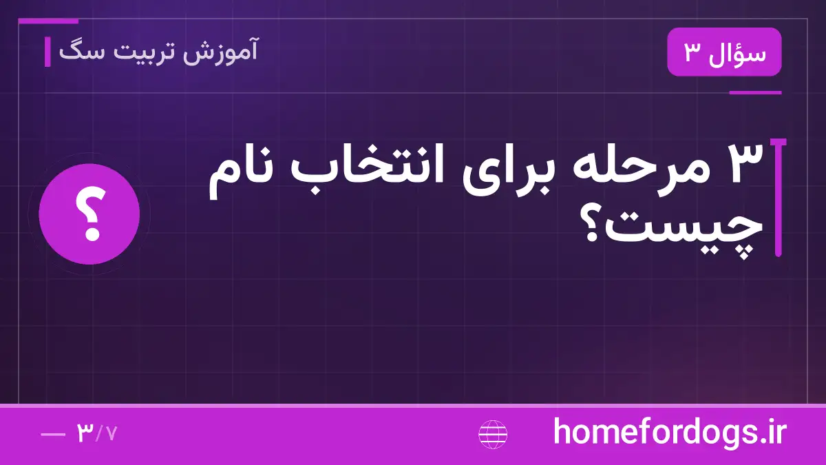 ۳ مرحله برای انتخاب نام چیست؟