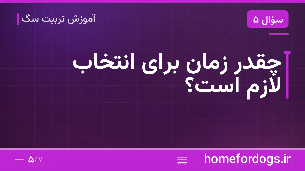 چقدر زمان برای انتخاب لازم است؟