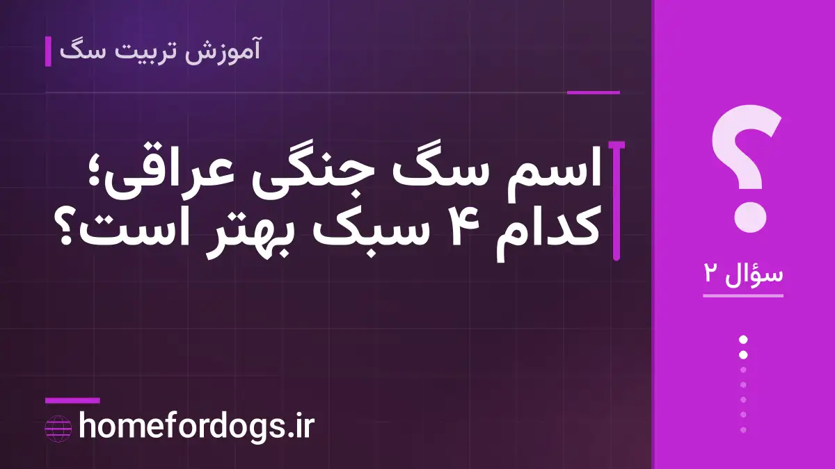 اسم سگ جنگی عراقی؛ کدام ۴ سبک بهتر است؟