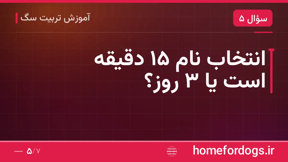 انتخاب نام ۱۵ دقیقه است یا ۳ روز؟