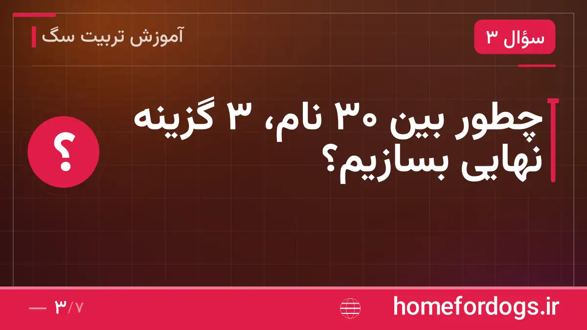 چطور بین ۳۰ نام، ۳ گزینه نهایی بسازیم؟