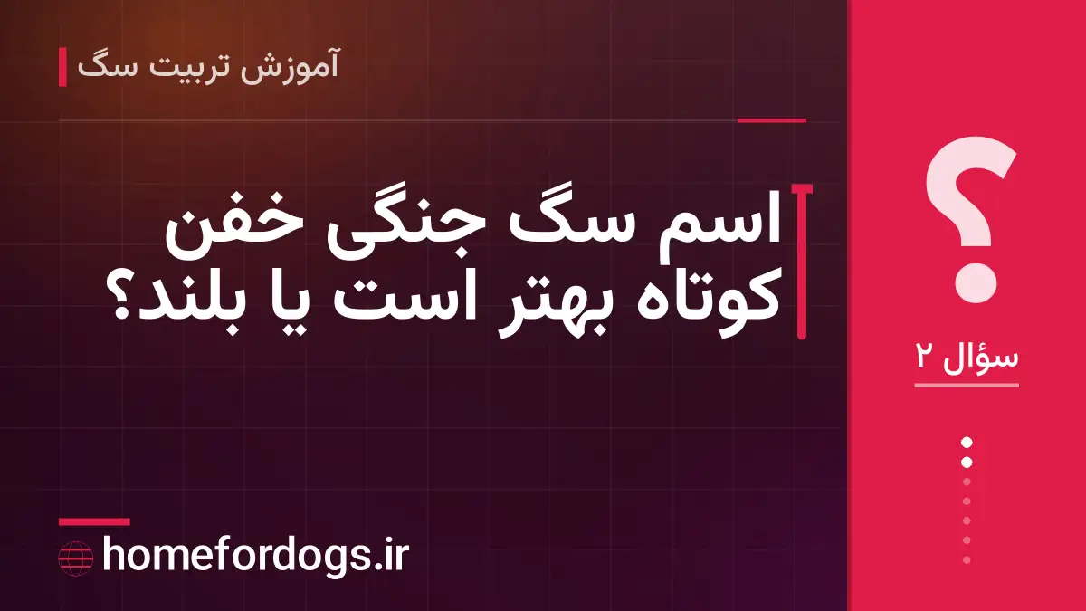 اسم سگ جنگی خفن کوتاه بهتر است یا بلند؟