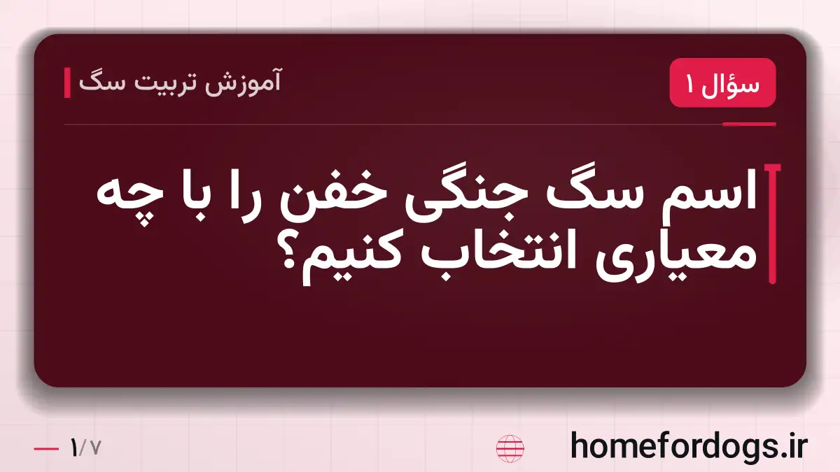 اسم سگ جنگی خفن را با چه معیاری انتخاب کنیم؟