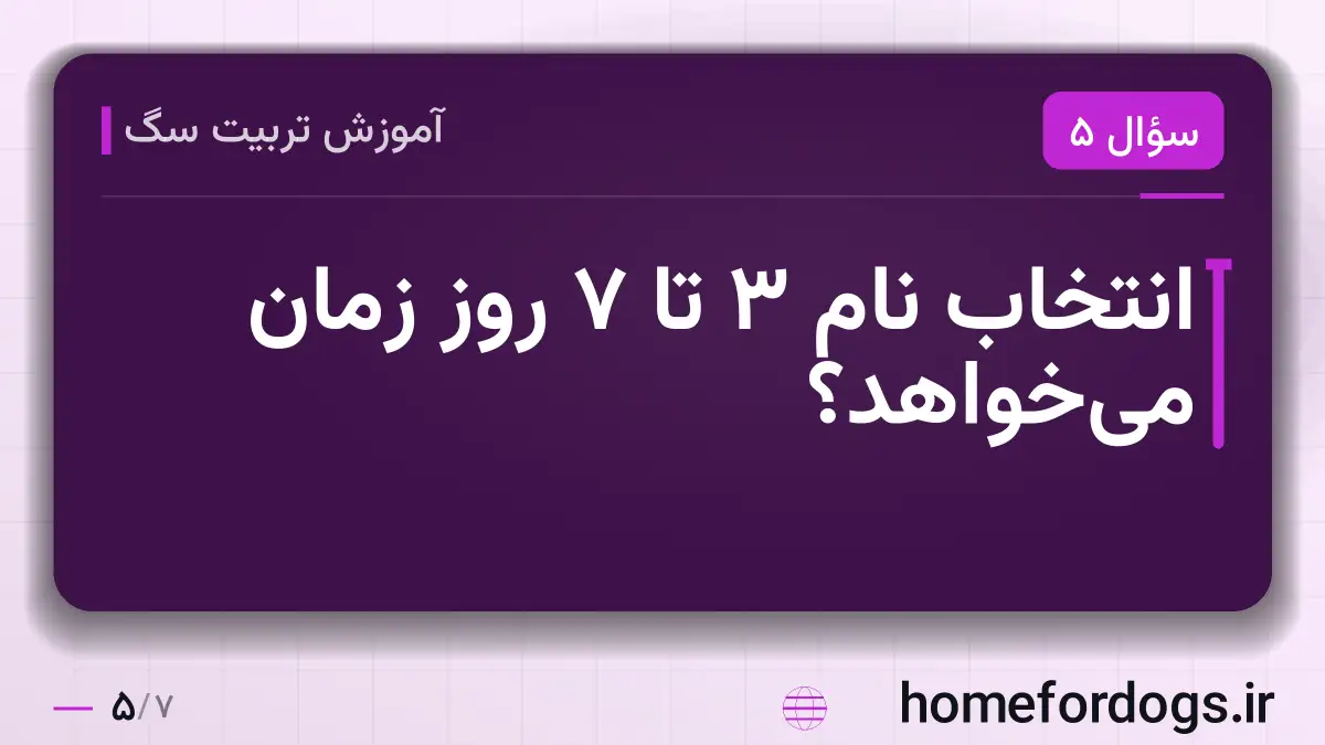 انتخاب نام ۳ تا ۷ روز زمان می‌خواهد؟