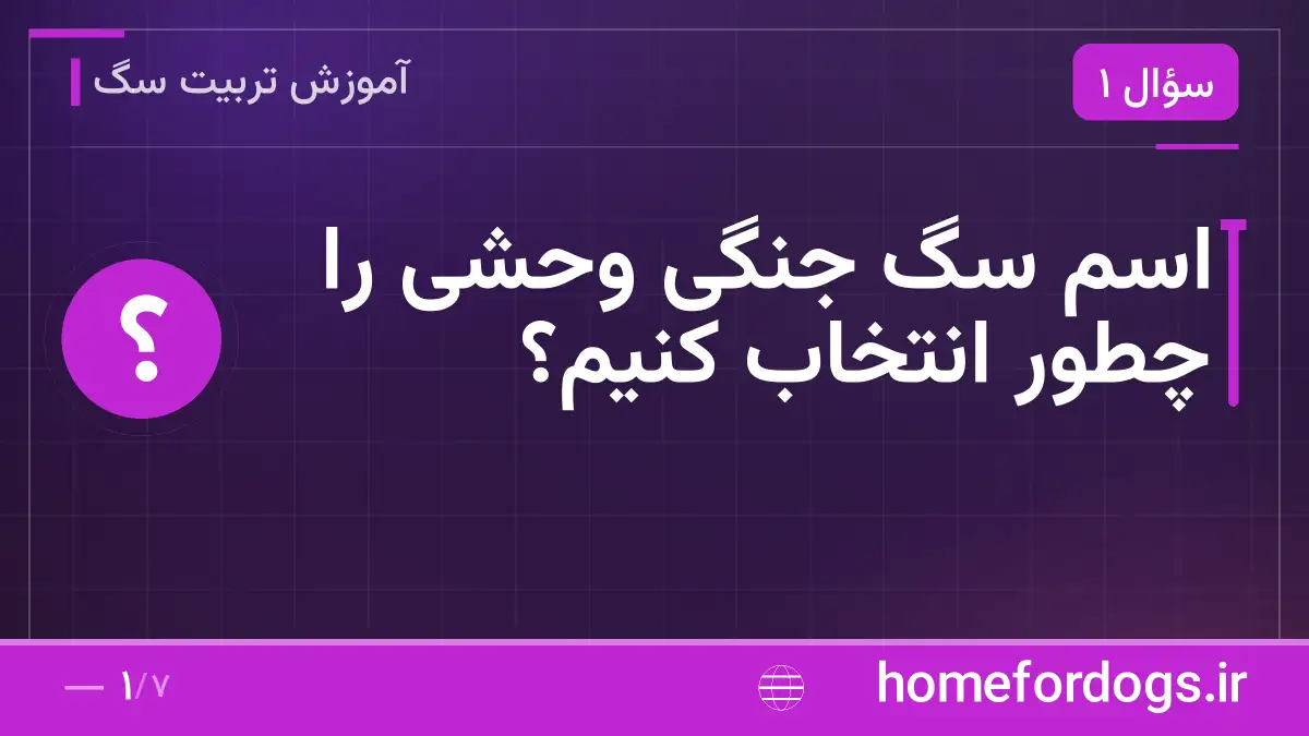 اسم سگ جنگی وحشی را چطور انتخاب کنیم؟