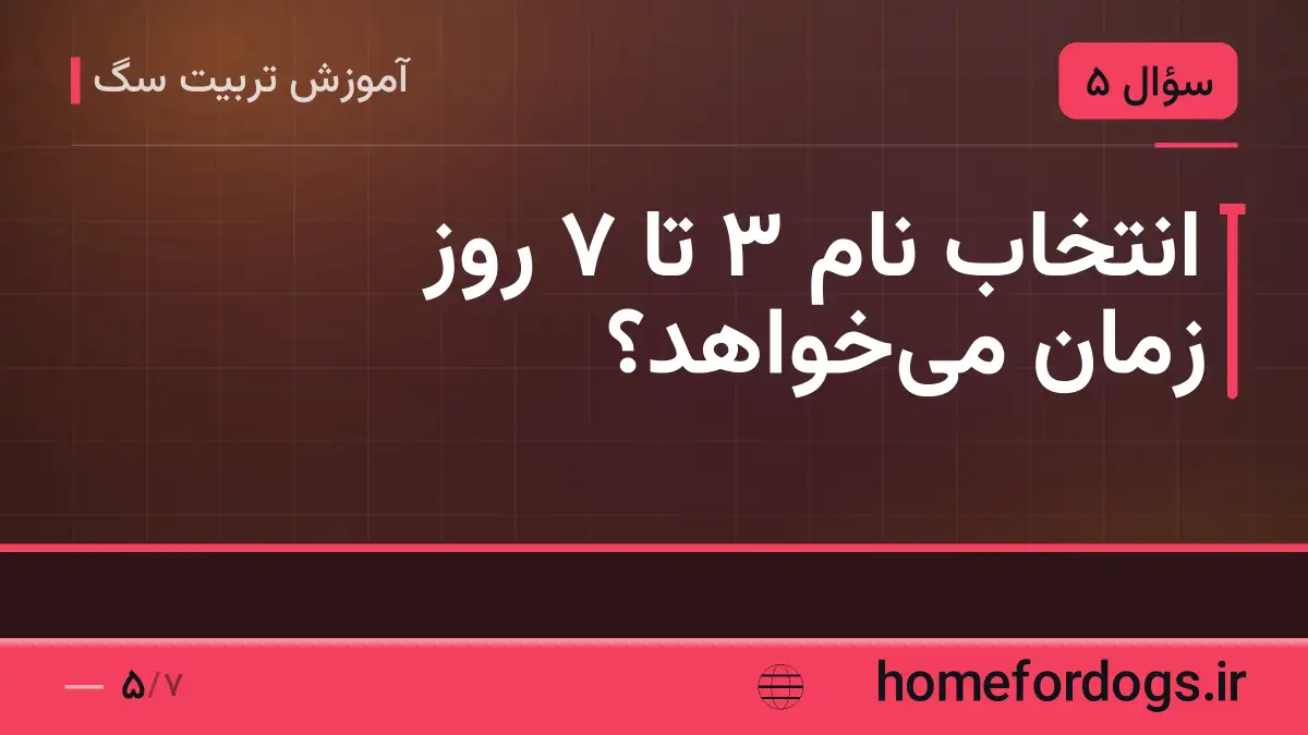 انتخاب نام ۳ تا ۷ روز زمان می‌خواهد؟
