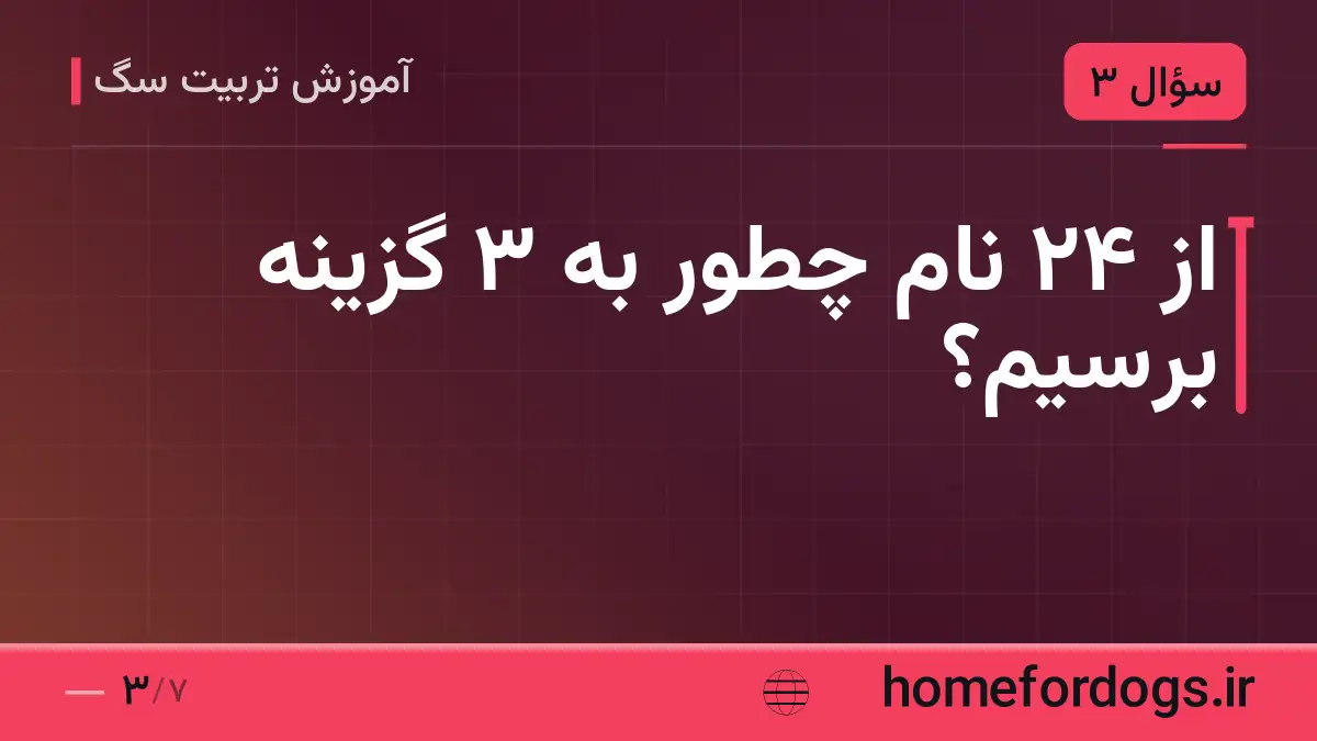 از ۲۴ نام چطور به ۳ گزینه برسیم؟