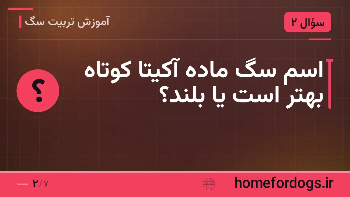 اسم سگ ماده آکیتا کوتاه بهتر است یا بلند؟