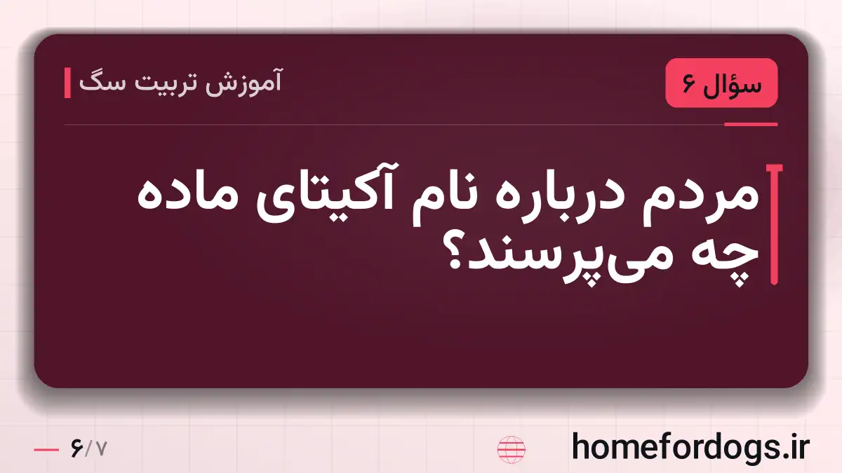مردم درباره نام آکیتای ماده چه می‌پرسند؟