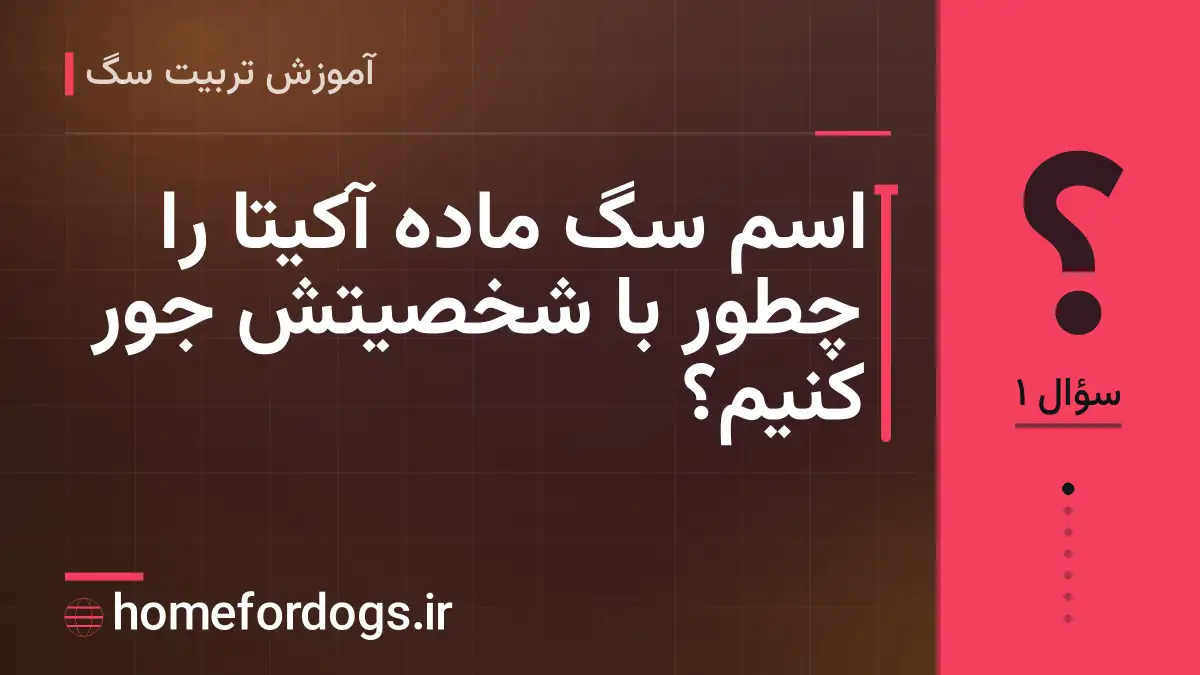اسم سگ ماده آکیتا را چطور با شخصیتش جور کنیم؟