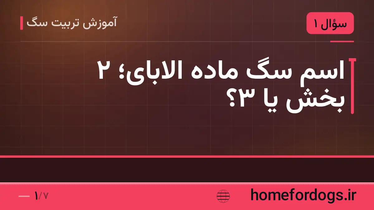 اسم سگ ماده الابای؛ ۲ بخش یا ۳؟