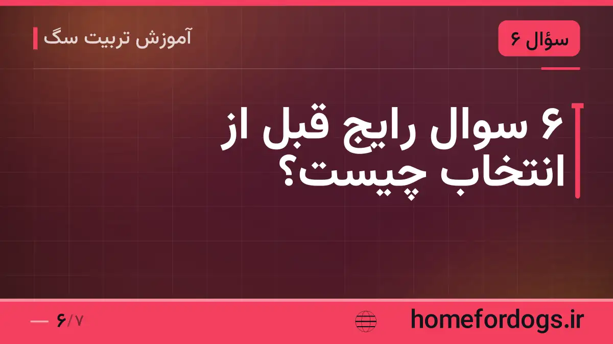 ۶ سوال رایج قبل از انتخاب چیست؟