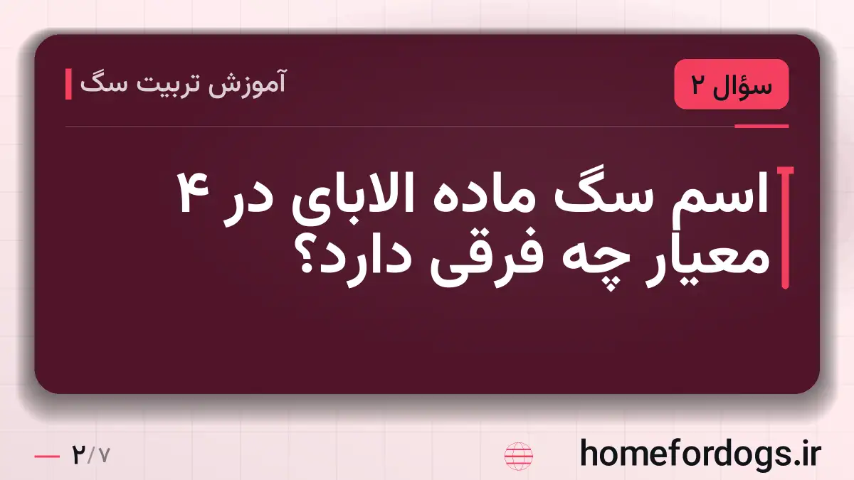 اسم سگ ماده الابای در ۴ معیار چه فرقی دارد؟
