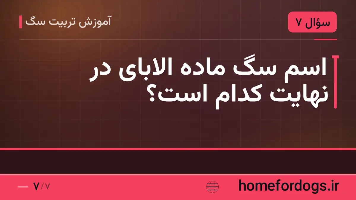 اسم سگ ماده الابای در نهایت کدام است؟