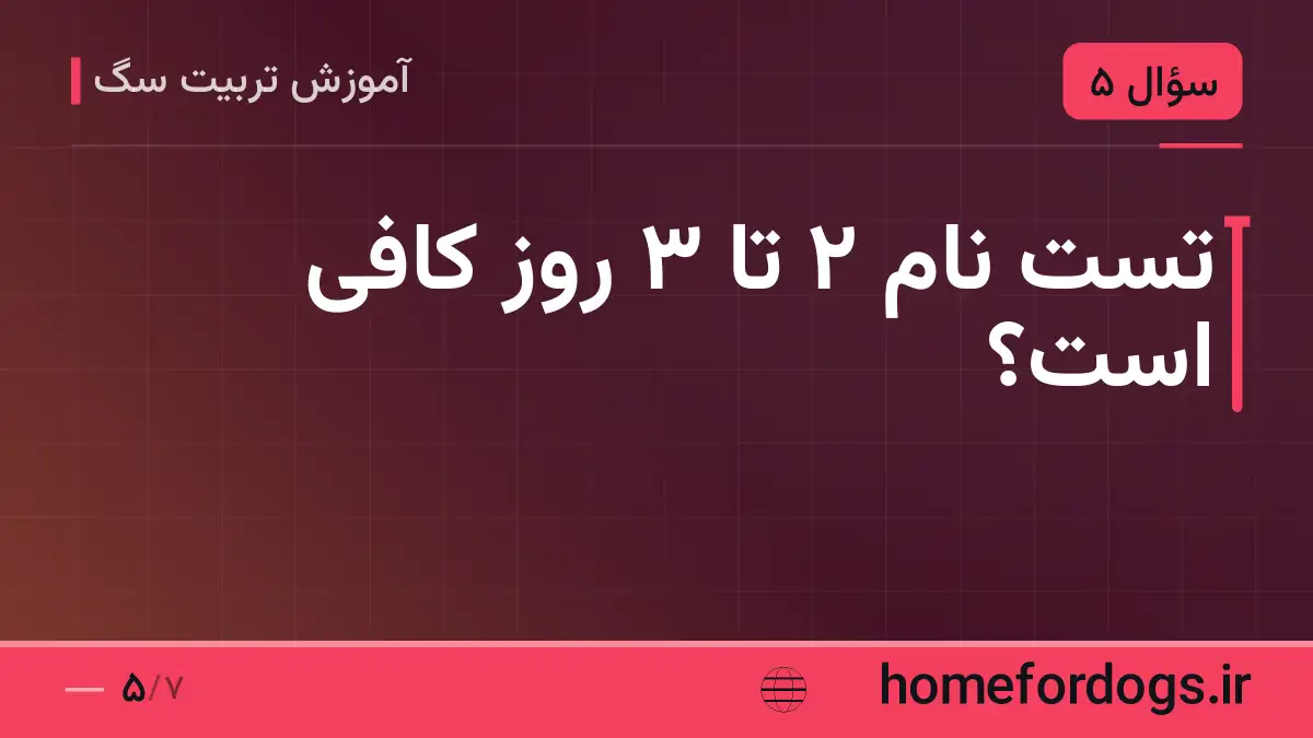 تست نام ۲ تا ۳ روز کافی است؟