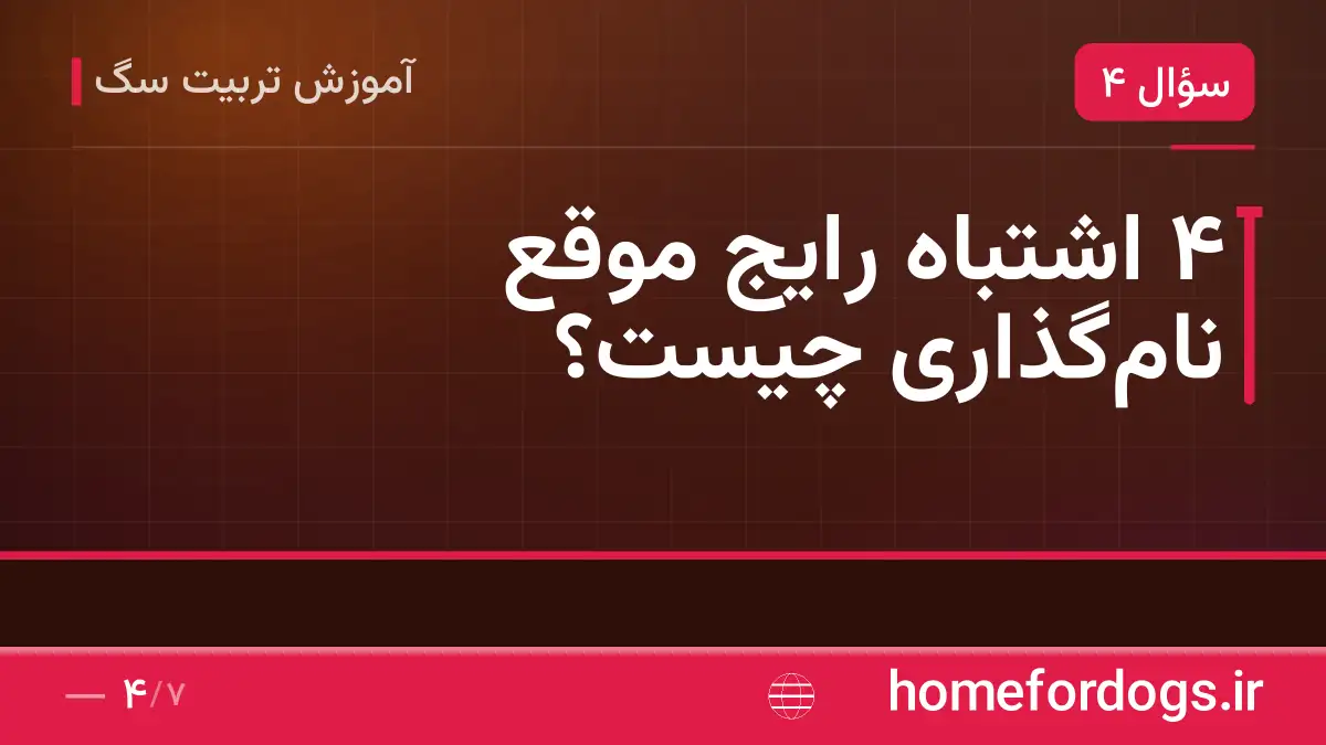 ۴ اشتباه رایج موقع نامگذاری چیست؟