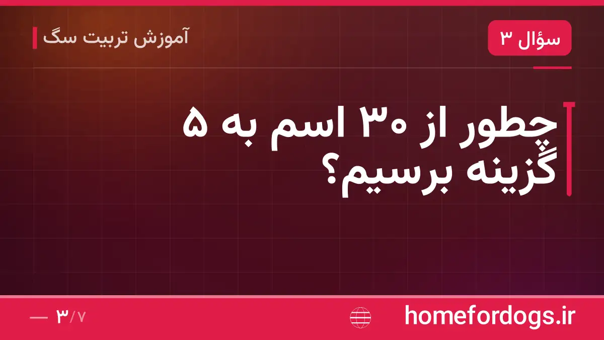 چطور از ۳۰ اسم به ۵ گزینه برسیم؟