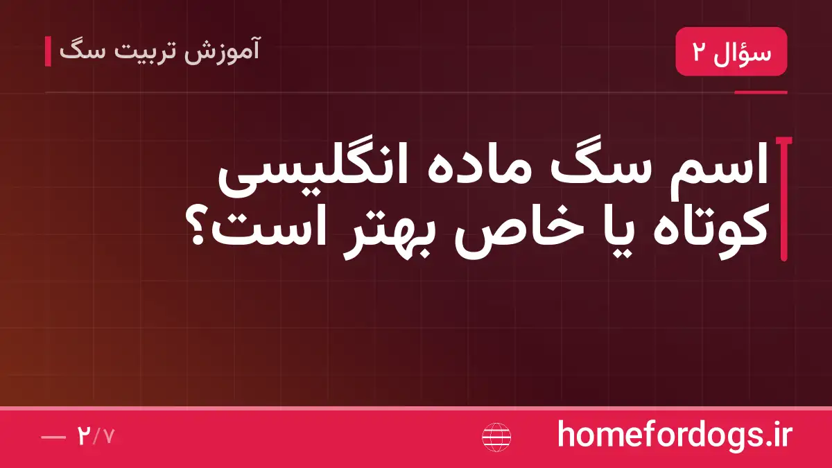 اسم سگ ماده انگلیسی کوتاه یا خاص بهتر است؟