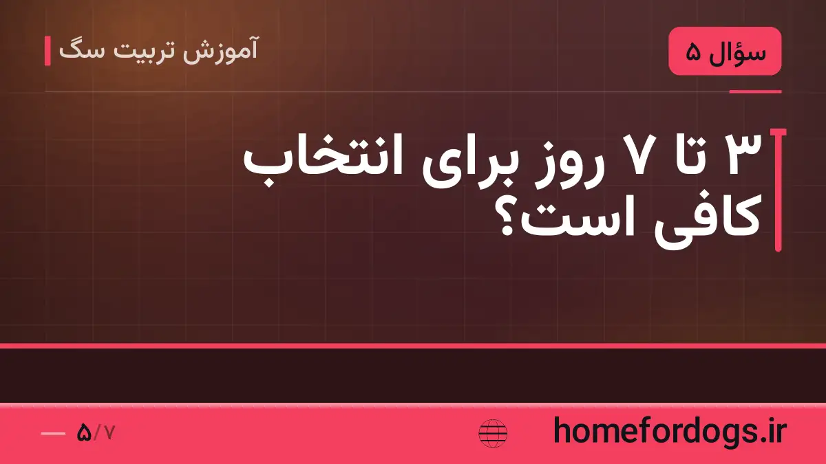 ۳ تا ۷ روز برای انتخاب کافی است؟