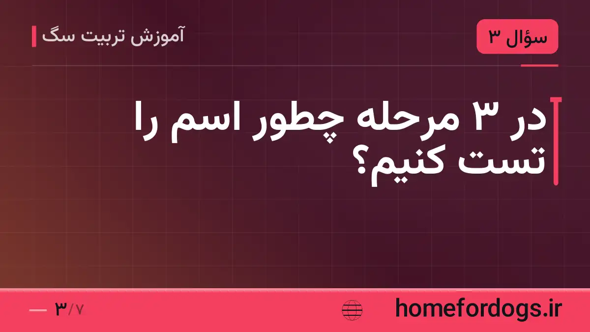 در ۳ مرحله چطور اسم را تست کنیم؟