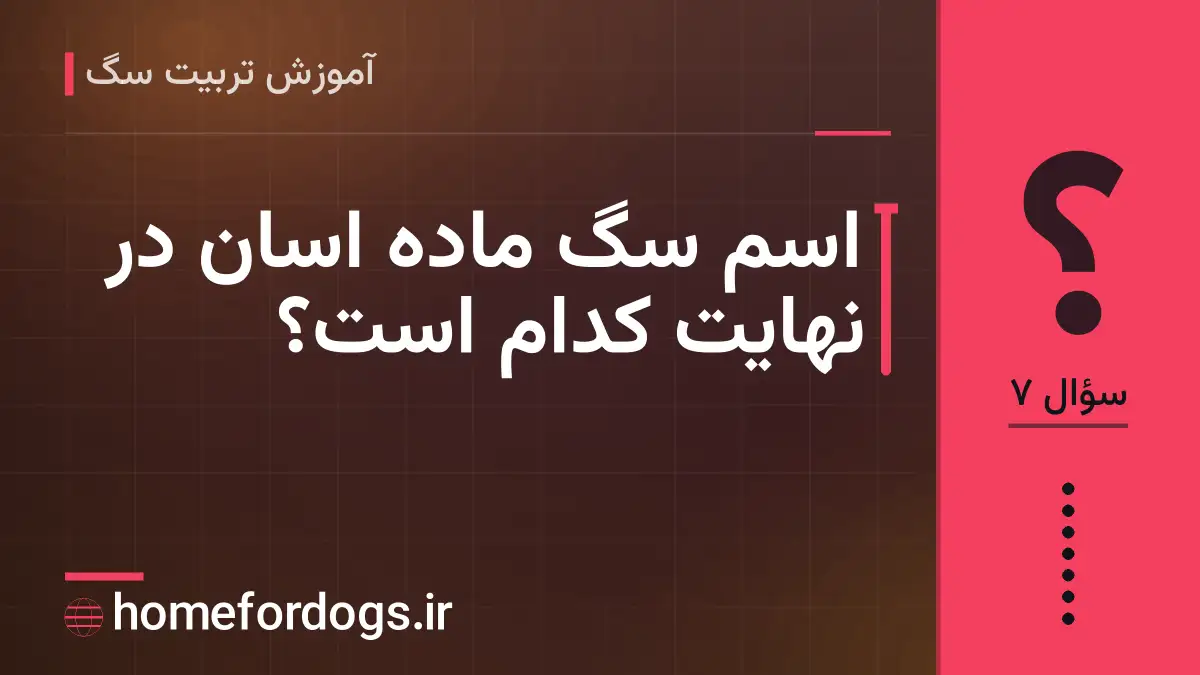 اسم سگ ماده اسان در نهایت کدام است؟